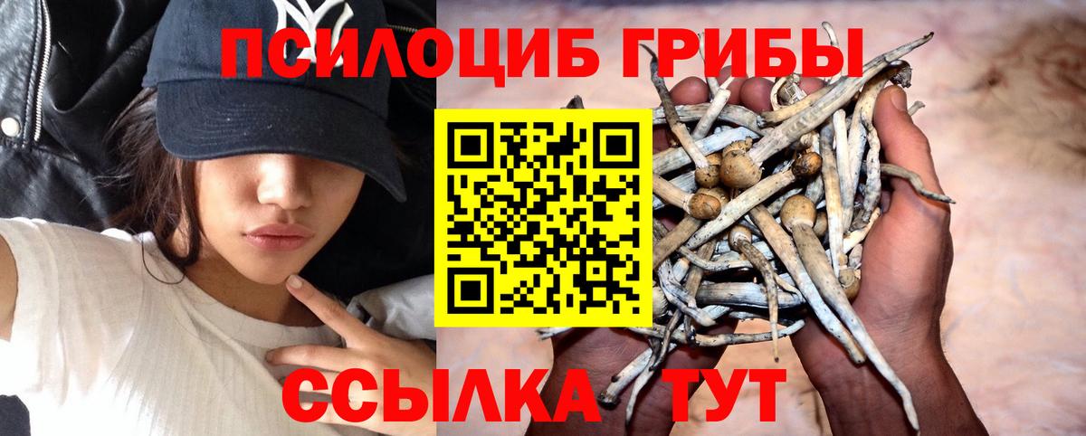 Гашиш  Alpha PVP СК   Кодеин  Кировск  ГАШИШ  Мефедрон кристаллы  Вход с VPN  Каннабис  COCAIN 
