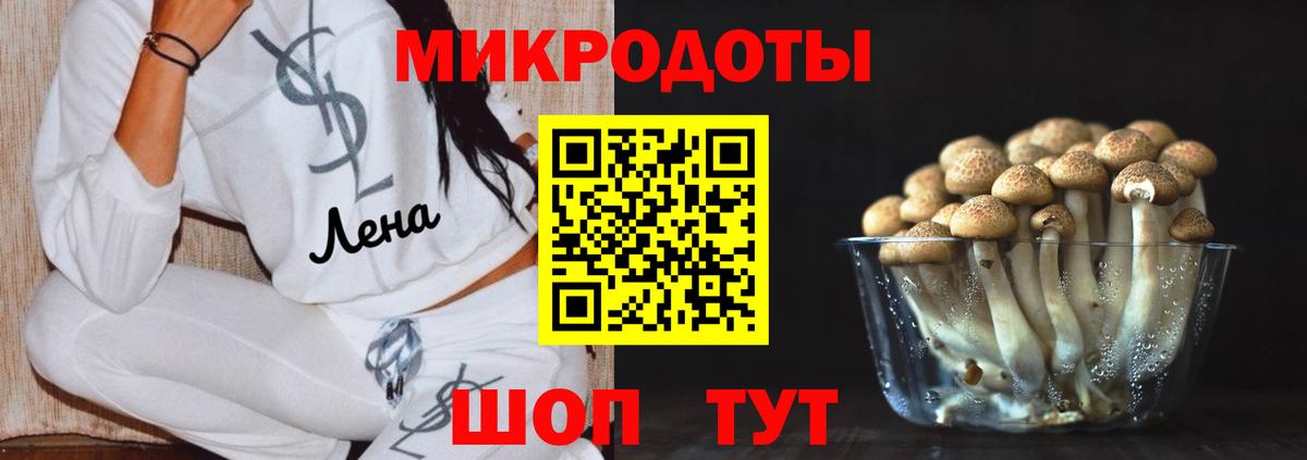 Псилоцибиновые грибы Psilocybe  Вход с VPN  Кировск 